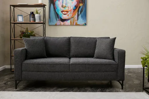 Dvojmiestna pohovka Berlin - Anthracite, Black
