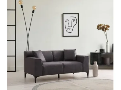 Dvojmiestna pohovka New Petra 2 - Anthracite