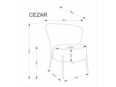 Detail produktu Čalúnené dizajnové kreslo CEZAR béžové